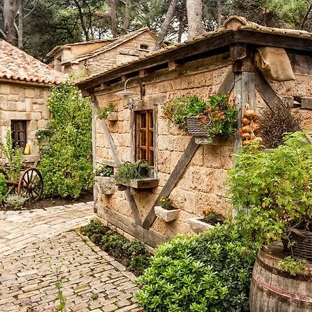 公寓 Angela 希贝尼克